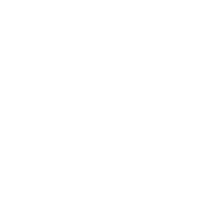 Customization